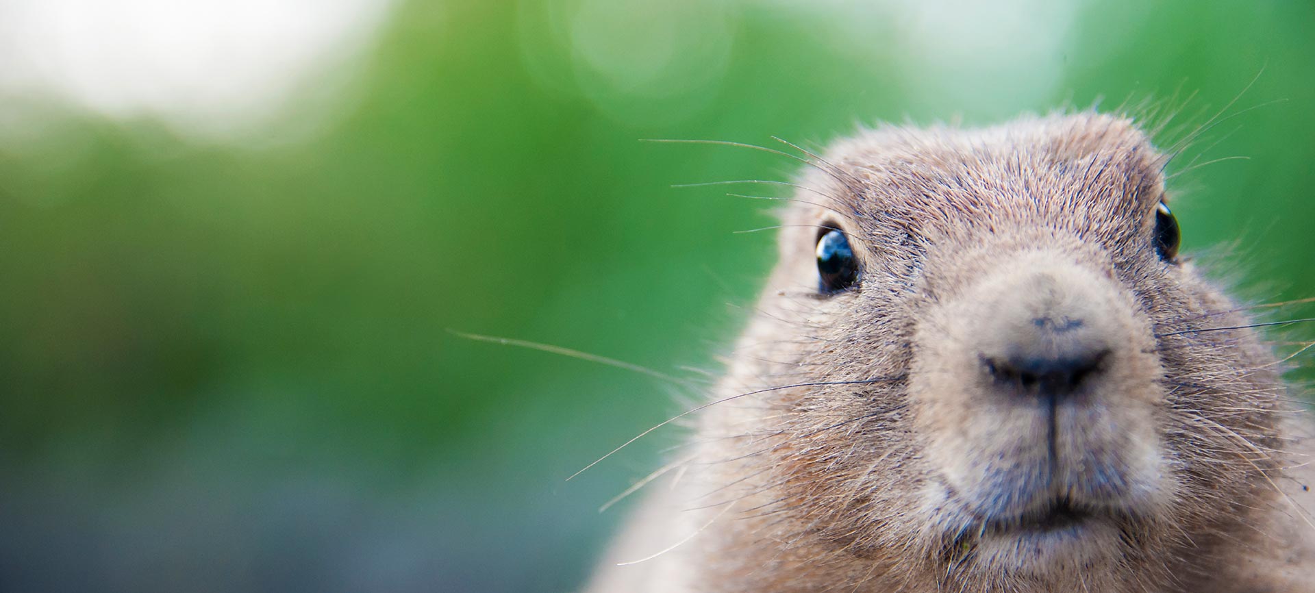 We’re creating customer experiences, one incredible look at a time.